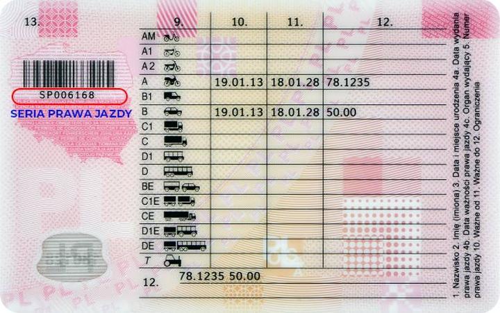 Co zrobić po zdaniu prawa jazdy? Praktyczny przewodnik dla świeżo upieczonych kierowców