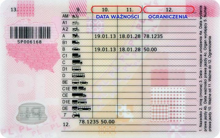 Obowiązek posiadania prawa jazdy