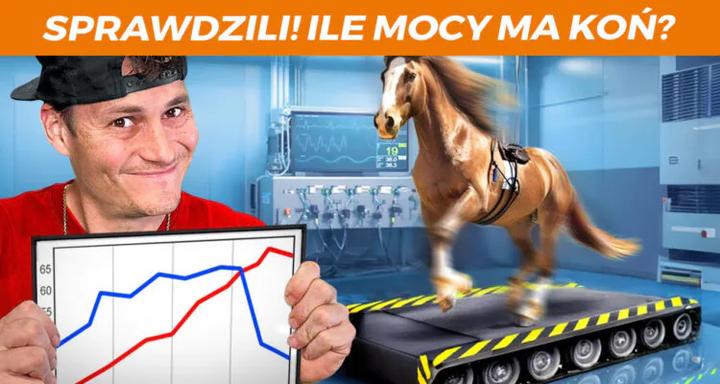 Ile koni mechanicznych kryje się za mocą silnika 66 kW?