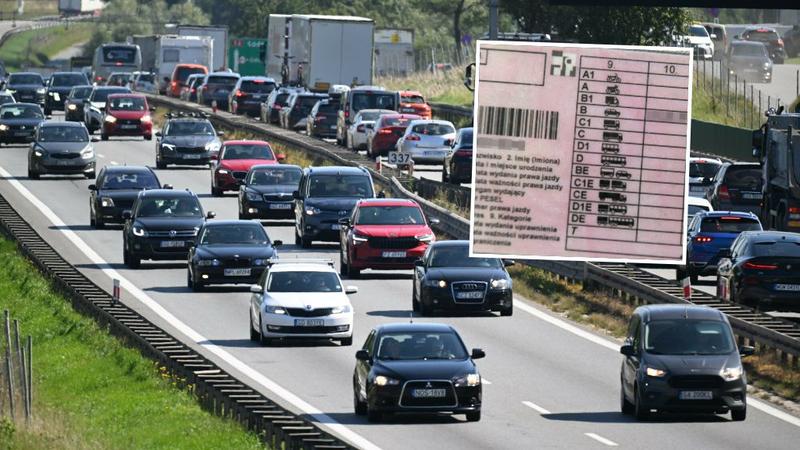 Opłacalność inwestycji w prawo jazdy